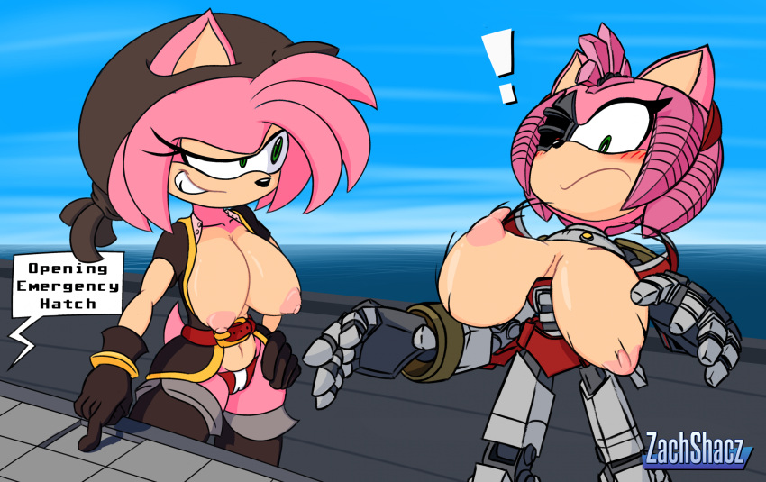 Black Rose (Sonic Prime) Rule 34 Image