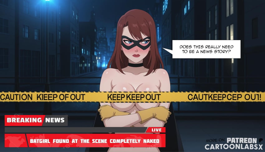 Barbara Gordon (Dc) Rule 34 Image