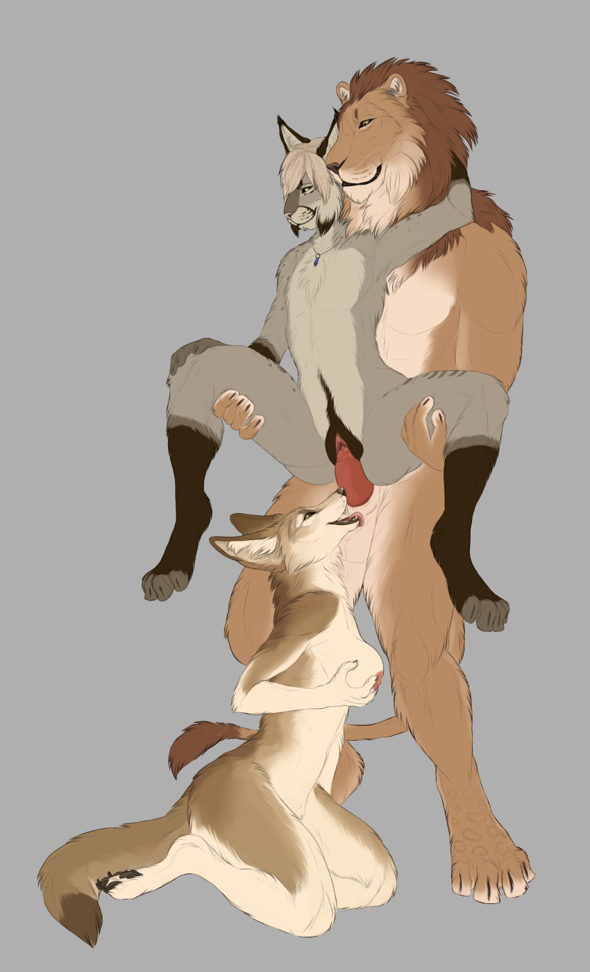 Jamie (Fauchsil) Rule 34 Image