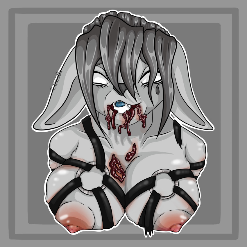 1:1 Rule 34 Image