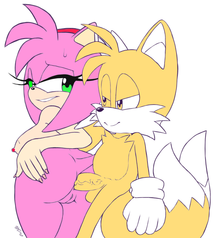 amy_rose anal anal_sex ass edit excito female female_penetrated fur furry furry_only male male/female male_penetrating male_penetrating_female naked nude pussy sonic_(series) tail tails third-party_edit