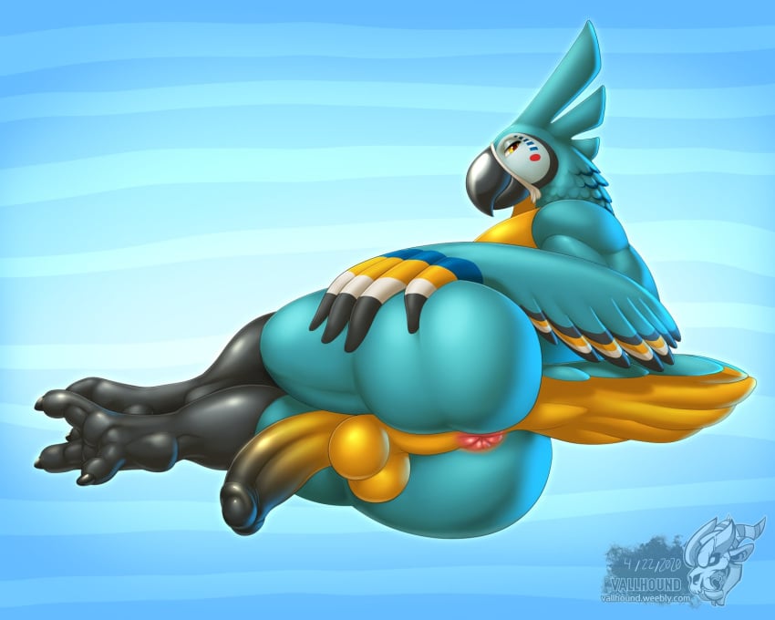 1boy 2020 5:4 5_fingers anthro anthrofied anus ass avian balls beak bedroom_eyes big_ass big_butt bird blue_feathers breath_of_the_wild bubble_ass bubble_butt butt claws completely_nude dat_ass fat_ass fat_butt genitals hi_res huge_ass huge_butt humanoid_genitalia humanoid_hands humanoid_penis kass kass_(zelda) looking_at_viewer male male_only massive_ass massive_butt multicolored_feathers multicolored_penis multicolored_tail nintendo nude penis plump_ass presenting presenting_anus presenting_ass presenting_balls presenting_butt presenting_hindquarters presenting_penis rito round_ass seductive seductive_eyes seductive_look seductive_smile smile solo solo_focus solo_male tail tail_feathers testicles the_legend_of_zelda the_legend_of_zelda:_breath_of_the_wild thick_thighs toe_claws toes twitter two_tone_tail vallhund video_games white_feathers wide_hips yellow_eyes yellow_feathers