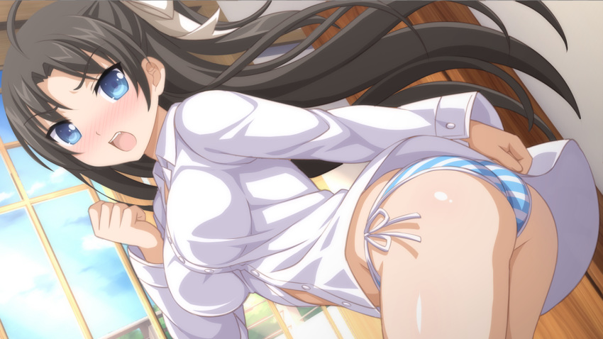 1girls ass big_ass black_hair blue_eyes blue_panties blush breasts game_cg hair_ribbon large_breasts long_hair mieko_(sakura_swim_club) sakura_swim_club shirt striped_panties wanaca winged_cloud