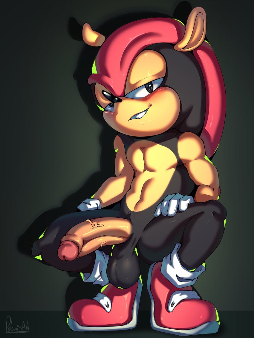 1boy male mighty_the_armadillo polaris_art solo solo_male sonic_(series) sonic_the_hedgehog_(series) tagme
