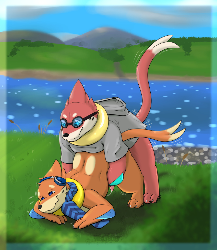 Buizel (Nintendo) Rule 34 Image