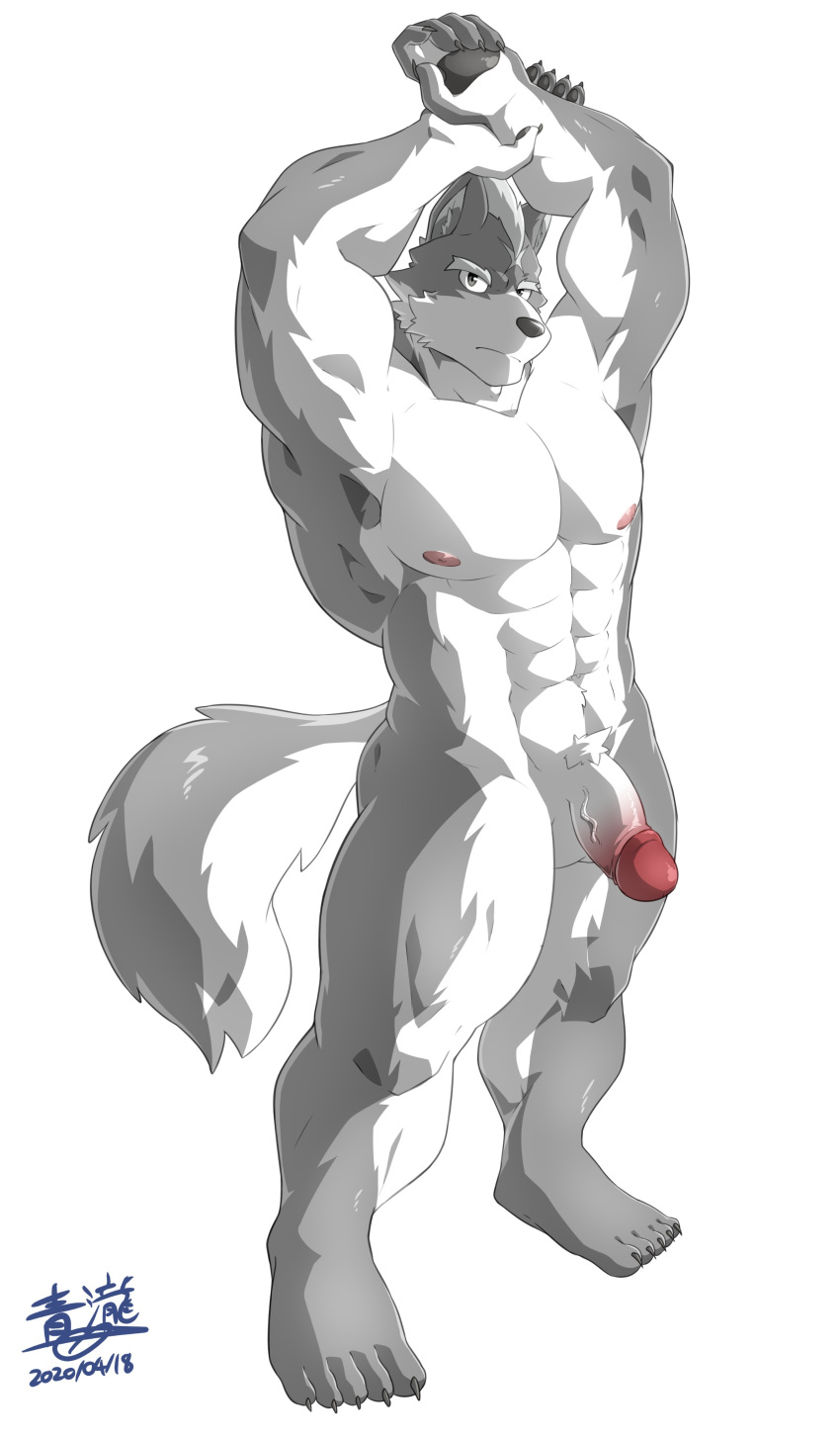 2020 5_fingers abs absurd_res anthro biceps big_muscles big_penis black_nose black_pawpads canid canine canis fingers fur genitals glans grey_body grey_eyes grey_fur half-erect hands_above_head hi_res humanoid_hands looking_at_viewer male male_only mammal multicolored_body multicolored_fur muscular muscular_male nude pawpads pecs penis plantigrade quads red_glans solo standing subaru_aotk thick_penis triceps two_tone_body two_tone_fur vein veiny_penis white_body white_fur white_penis wolf