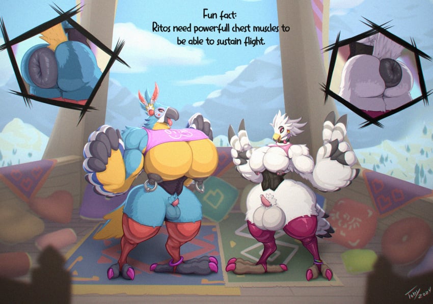 anthro anus areola ass avian ball_size_difference balls beak big_anus big_balls big_pecs biped breath_of_the_wild claws duo english_text erection genitals huge_anus huge_balls huge_pecs kass_(tloz) male male_only muscular muscular_anthro muscular_male nintendo nipple_piercing nipple_ring nipples open_mouth open_smile pecs penis penis_size_difference piercing puffy_anus ring_piercing rito small_penis smile teba_(tloz) text the_legend_of_zelda thick_thighs toby_art tongue tongue_out