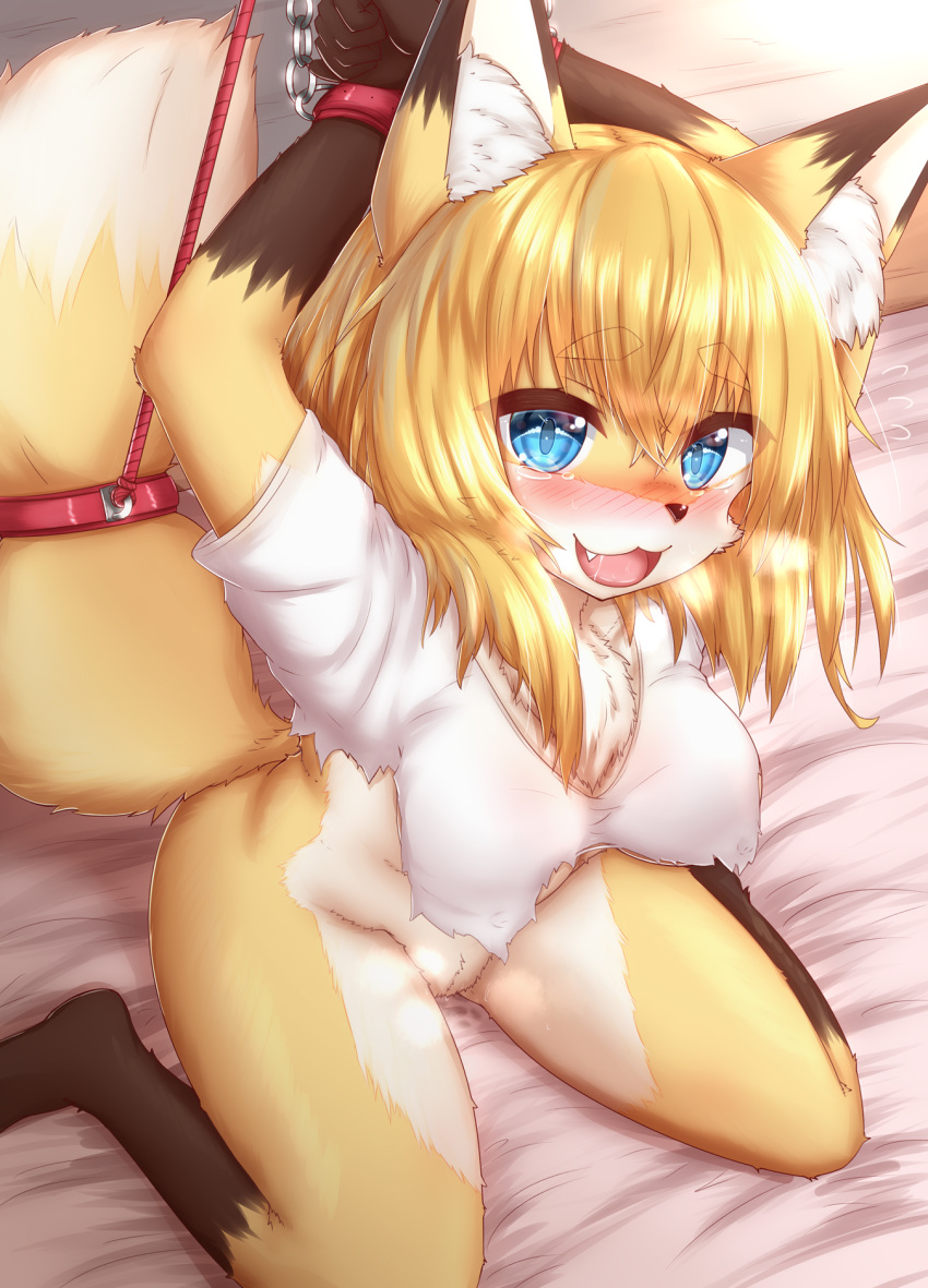 anthro black_nose blonde_hair blue_eyes blush bodily_fluids bondage bottomless bound breasts brown_body brown_fur canid canine chains chest_tuft clothed clothing cute_fangs female fluffy fluffy_tail fox fur genitals hair hi_res horokusa0519 inner_ear_fluff kemono kneeling looking_at_viewer mammal multicolored_body multicolored_fur nipples open_mouth pussy saliva slit_pupils solo steam tan_body tan_fur translucent translucent_hair tuft white_body white_fur