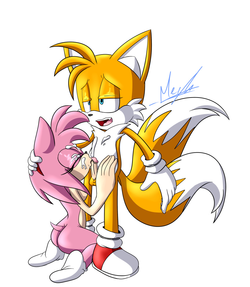 absurd_res age_difference amy_rose anthro canid canine cum duo ejaculation eulipotyphlan exposed_torso female footwear fox genitals handwear hedgehog hi_res kissing male male/female mammal meyk older_female oral_sex penis penis_kissing sega small_breasts socks sonic_(series) sonic_the_hedgehog_(series) tails younger_male