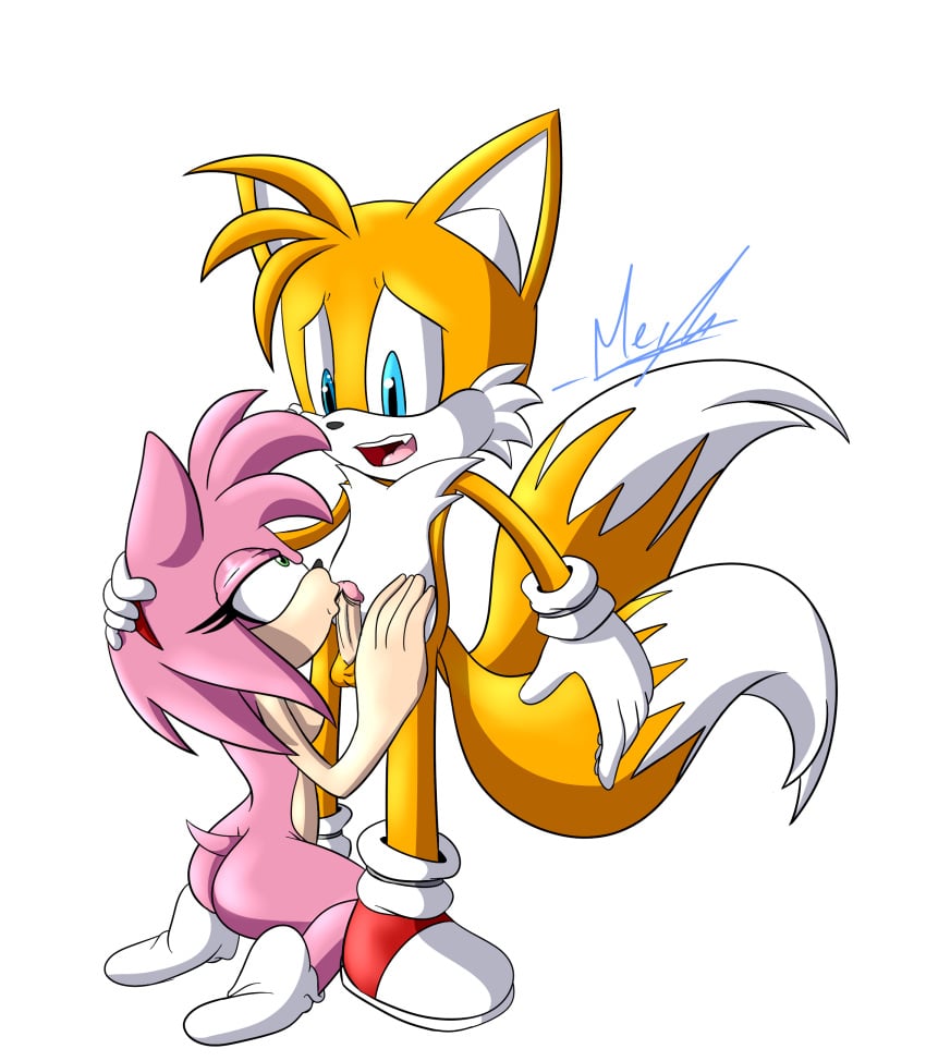 absurd_res age_difference amy_rose anthro canid canine duo eulipotyphlan exposed_torso fellatio female footwear fox genitals handwear hedgehog hi_res kissing male male/female mammal meyk older_female oral penile penis penis_kissing sega sex small_breasts sonic_(series) sonic_the_hedgehog_(series) tails younger_male