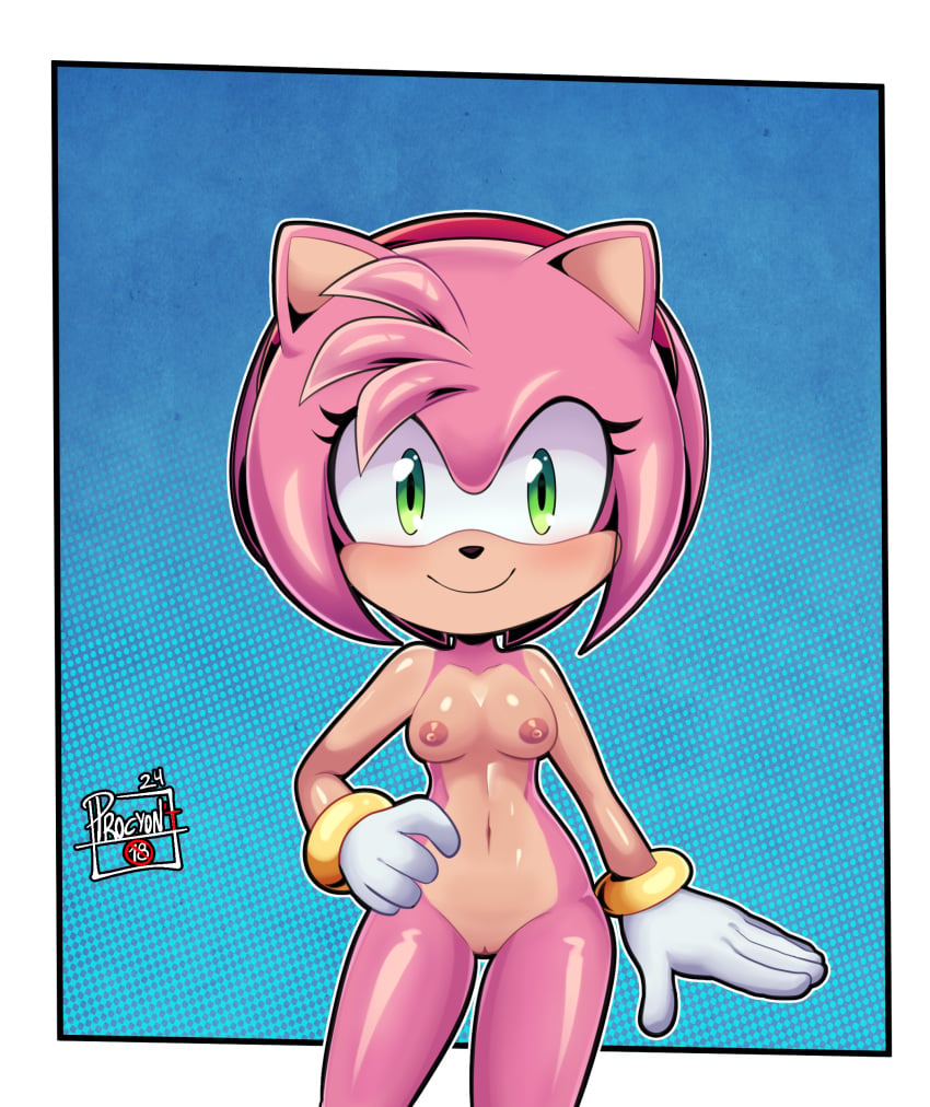 1girls amy_rose female female_nudity female_only furry furry_girl mobian_(species) nude_female nudes nudity pink_hair pink_nipples procyon't small_breasts smaller_female smile sonic_(series) sonic_(series) sonic_the_hedgehog_(series)