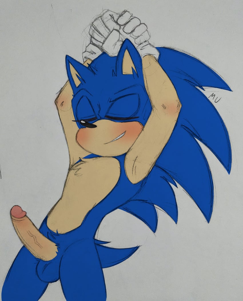 erection hands_up male male_focus male_only non-human presenting presenting_balls presenting_penis sega silveroppai solo_male sonic_(series) sonic_the_hedgehog sonic_the_hedgehog_(series)