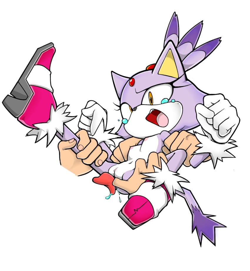 Sonic (Series) Rule 34 Image