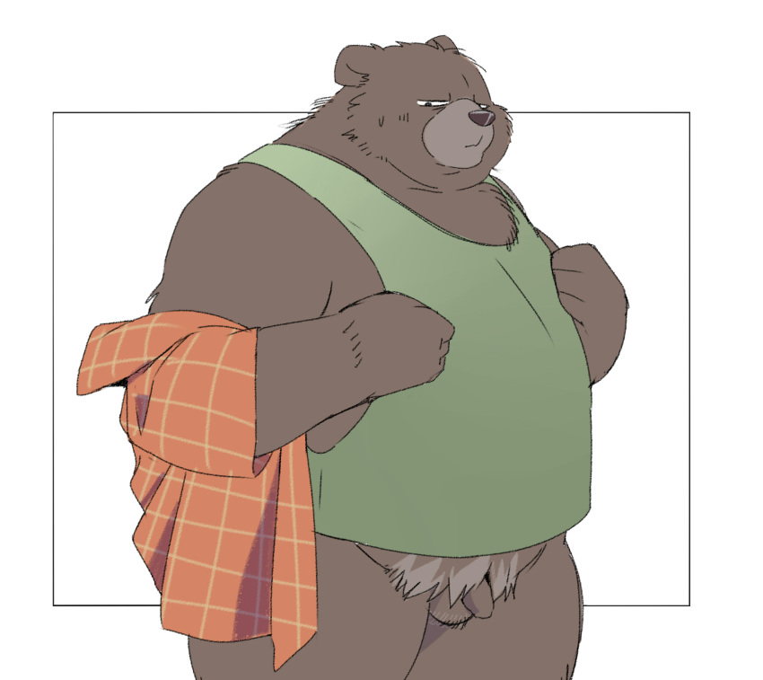 2024 anthro balls bear belly brown_body brown_fur clothed clothing flaccid fur genitals hi_res inunoshippo kemono male mammal open_clothing open_shirt open_topwear overweight overweight_male penis shirt simple_background small_penis solo topwear