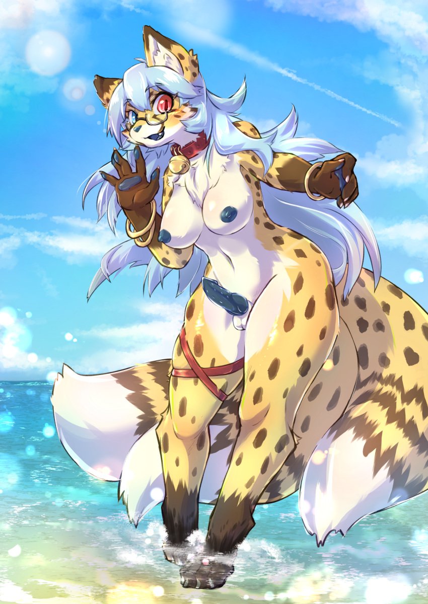 1futa animal_genitalia anthro balls beach bell blue_eyes blue_hair blue_mouth blue_nipples blue_nose blue_pawpads blue_penis bracelet breasts bulge canid canine cheetah chest_tuft collar digitigrade eyewear felid feline fox furry futa_only futanari genital_outline genitals glasses gynomorph hair heterochromia hi_res hybrid hybrid_genitalia hybrid_penis intersex jewelry knot long_hair mammal multi_tail neko_ed nipples nude outside partially_submerged pawpads penile_spines penis penis_outline red_eyes sakamata_orca sea seaside sheath sky solo straps tuft water wave