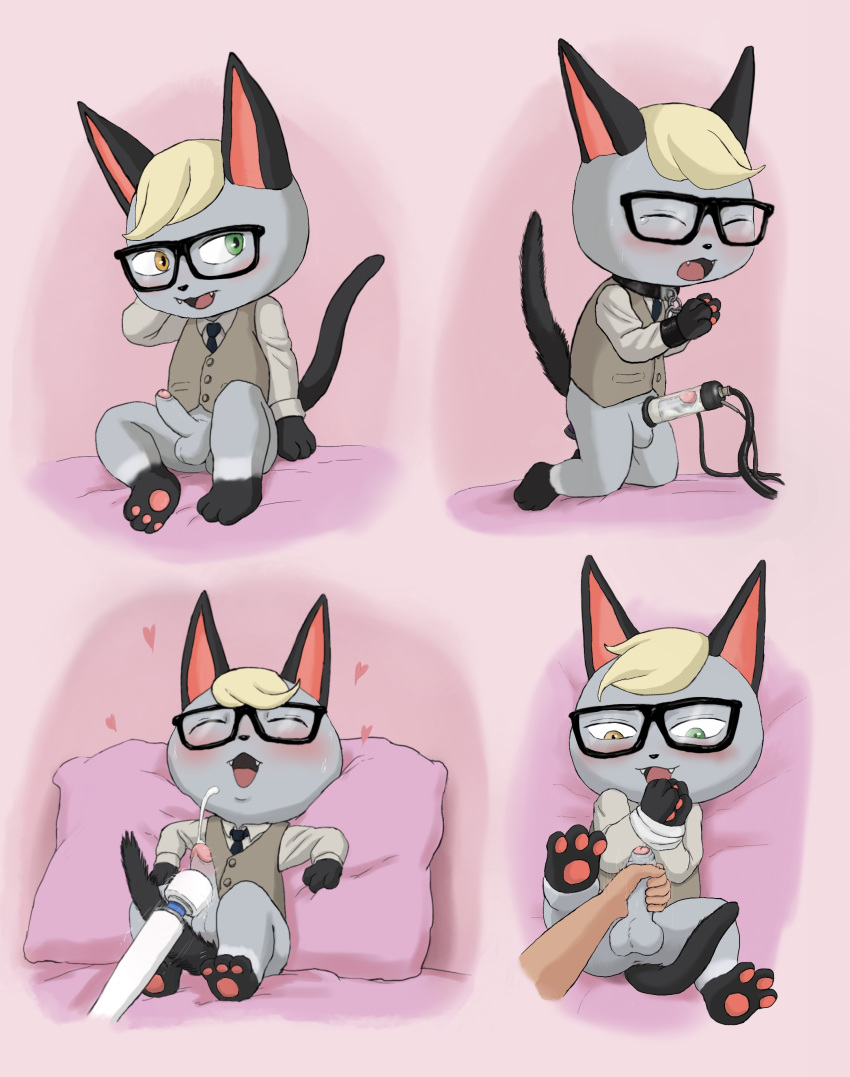 absurd_res animal_crossing anthro arms_tied balls blonde_hair blush bodily_fluids bound canid canine chibi cum disembodied_hand domestic_cat erection eyewear felid feline felis fox fur genital_fluids genitals glasses grey_body grey_fur hair handjob hi_res hitachi_magic_wand kit_fox machine male male_focus male_only mammal milking_machine nintendo orgasm pawpads penile penis penis_milking raymond_(animal_crossing) sex sex_toy solo vibrator video_games