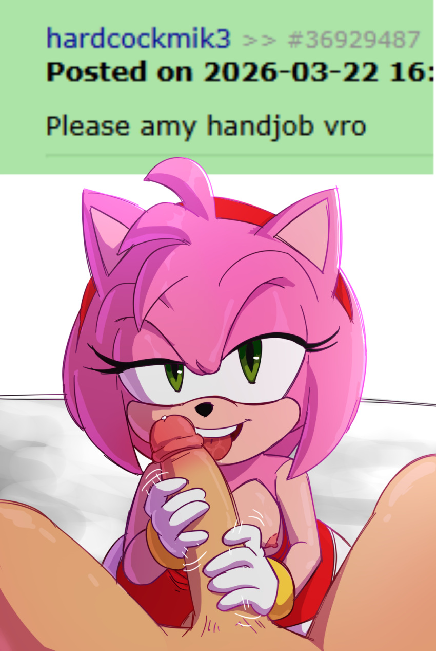 Amy Rose (Sonic (Series)) Rule 34 Image