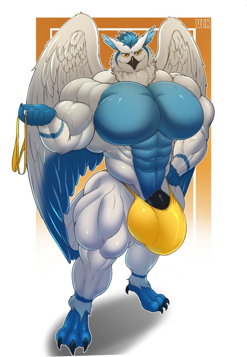 1boy abs anthro avian banana_hammock bara beak biceps big_biceps big_muscles black_penis bodybuilder bulge claws deltoids feathered_wings feathers humanoid looking_at_viewer male male_only muscles muscular muscular_male muscular_thighs owl pecs penis_bulge serratus_anterior simple_background six_pack skimpy smug solo sova speedo toe_claws two_tone_body two_tone_wings vein vexdemon white_wings wings yellow_sclera