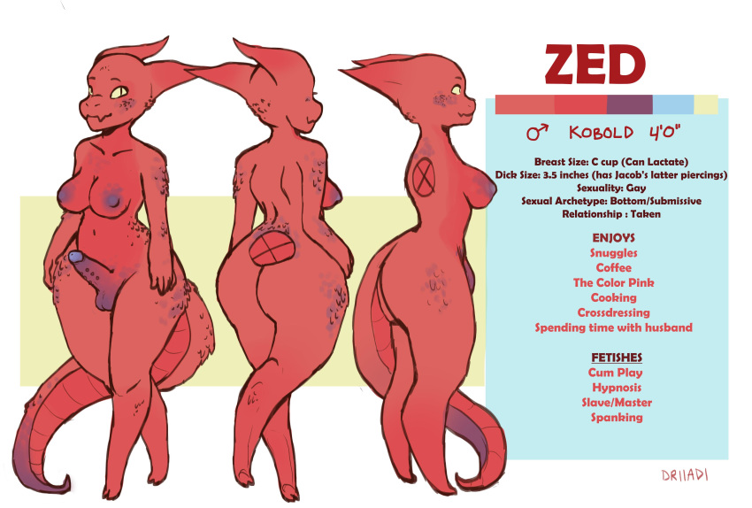 1futa 2020 absurd_res anthro areola balls big_nipples bodily_fluids breast_milking breasts digital_media_(artwork) driiadi english_text frenum_ladder frenum_piercing futanari genital_piercing genitals gynomorph hi_res horn intersex kobold lactating lizard model_sheet nipples nude penis penis_piercing piercing reptile scalie simple_background slightly_chubby small_penis smile solo text thick_thighs wide_hips zed_(scales)