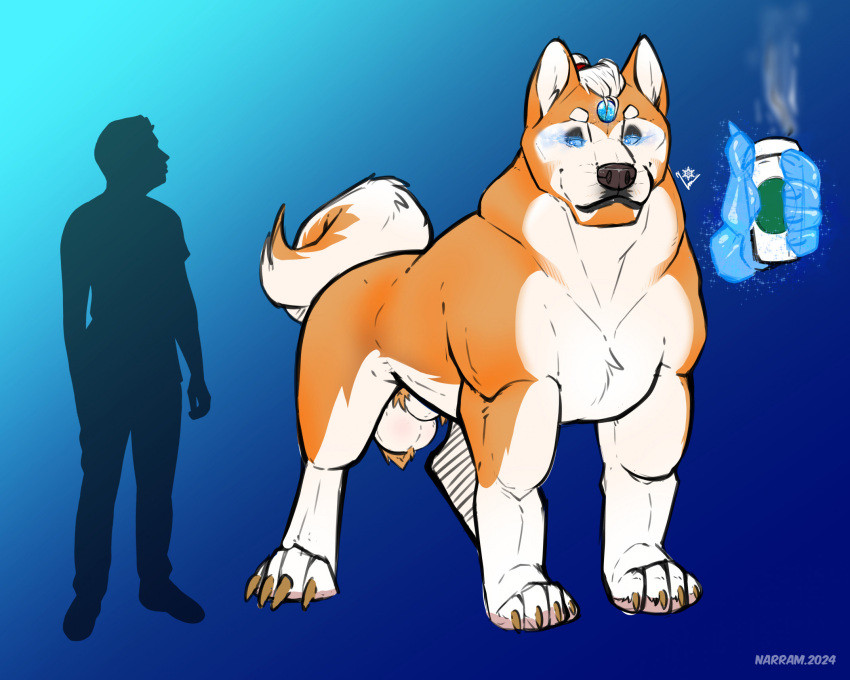 akita animal_genitalia balls canid canine canis claws domestic_dog ear_piercing feral fur gem genitals hi_res magic magic_user male mammal narram pawpads piercing sheath solo spitz tail