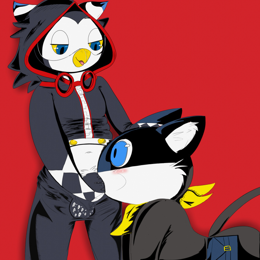 1:1 anthro atlus avian balls bird blush bottomwear bottomwear_down clothed clothing clothing_lift domestic_cat duo erection felid feline felis fellatio genitals hand_on_head hi_res kneeling kneeling_oral_position male male/male mammal megami_tensei morgana_(persona) open_mouth oral oral_penetration owl pants pants_down partially_clothed penetration penile penis persona persona_(series) persona_5 persona_5:_the_phantom_x pubes raised_clothing raised_shirt raised_topwear ruferu_(persona) sex shirt shirt_lift topwear twerpishimp