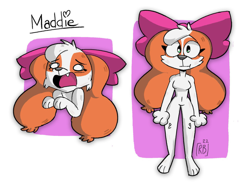 :| anthro anthro_only canine completely_nude dog_ears dog_girl fur furry furry_only maddie_(runebellart) nude oc orange_fur runebellart scared scared_expression simple_background tail white_fur worried worried_expression