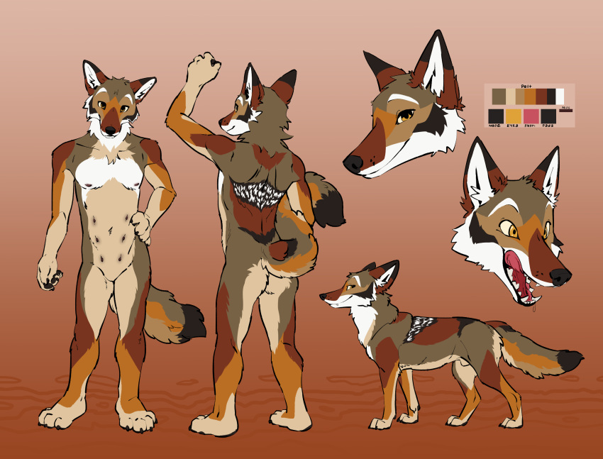 animal_genitalia anthro biped canid canine canis color_swatch coyote cuntboy eyebrows fangs feelferal feral fur genitals hi_res intersex male mammal model_sheet open_mouth quadruped sheath smile solo tail teeth yops_(psychedelicyops)