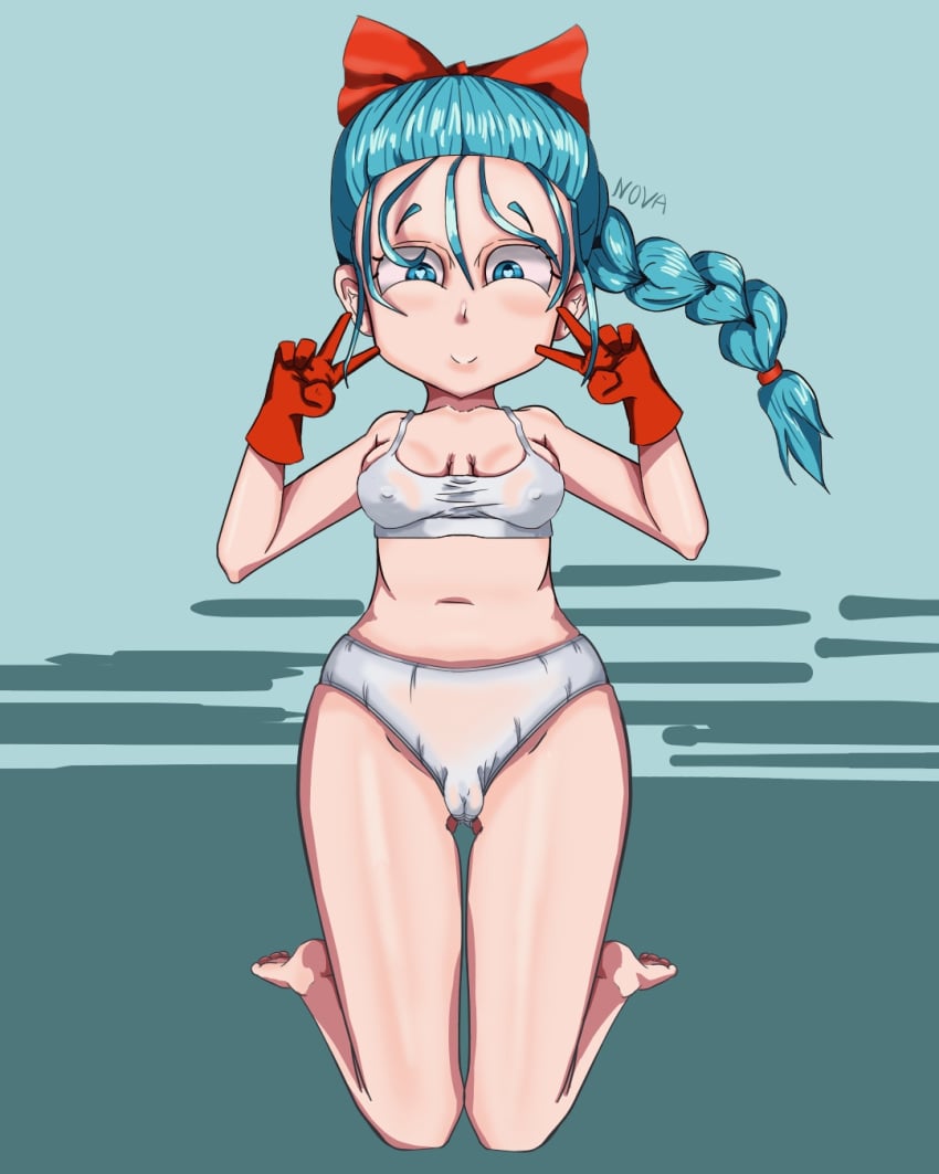 bulma_briefs dragon_ball dragon_ball_z panties teenage_bulma