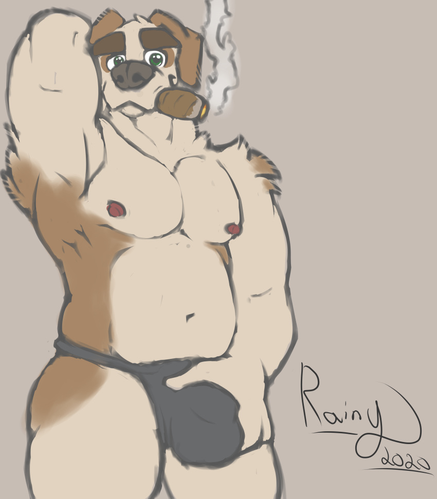 absurd_res anthro bulge canid canine canis cigar clothing domestic_dog hi_res male male_only mammal molosser mountain_dog musclegut muscular muscular_male nipples rainy4k saint_bernard signature smoking solo underwear