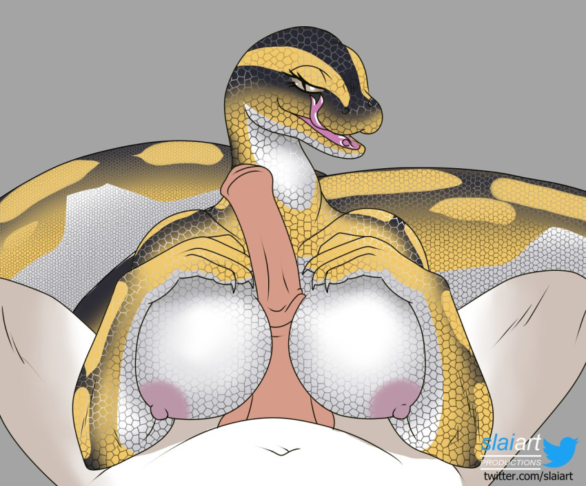 animal_humanoid anthro balls big_breasts breasts duo erection fellatio female fur genitals humanoid hybrid licking licking_lips male mammal mammal_humanoid murid murine naga nipples non-mammal_breasts nude paizuri penile penis rat reptile rodent scales scalie serpentine sex simple_background slaiart smile snake straight text titjob tongue tongue_out url