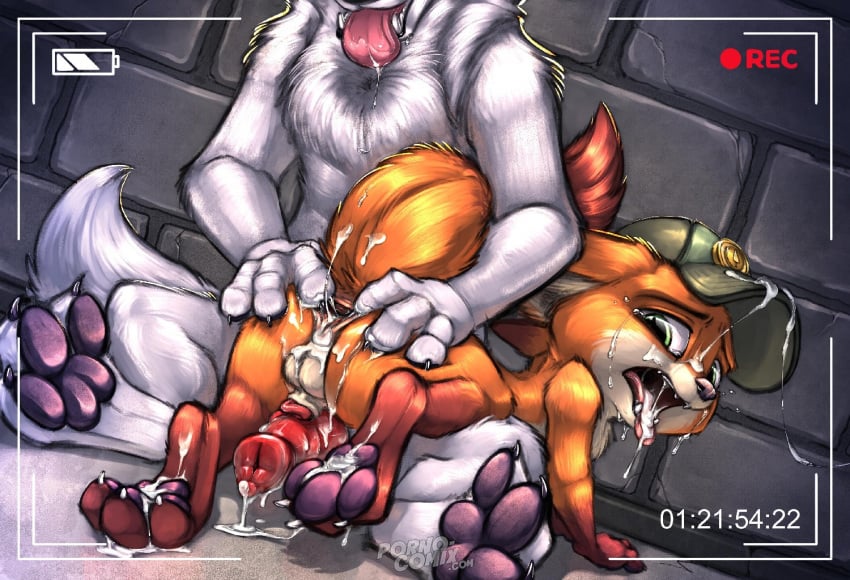 age_difference camera cum cum_in_ass cum_in_mouth disney fox furry gay male_only nick_wilde pawpads penis size_difference white_wolf yaoi zootopia