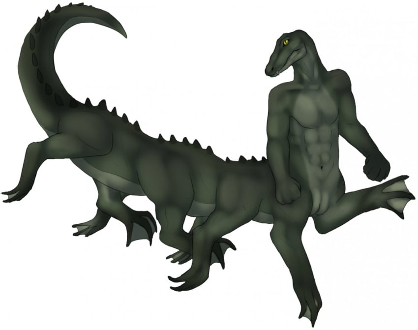 abs ambiguous_gender ambiguous_slit crocodile crocodilian crocodylid fist flippers green_body grey_body hybrid long_body long_boi membrane_(anatomy) multi_leg multi_limb multicolored_body navel olive_body reptile scalie simple_background slinkydragon_(colorist) slit_pupils solo spines toes two_tone_body webbed_feet white_background yellow_eyes