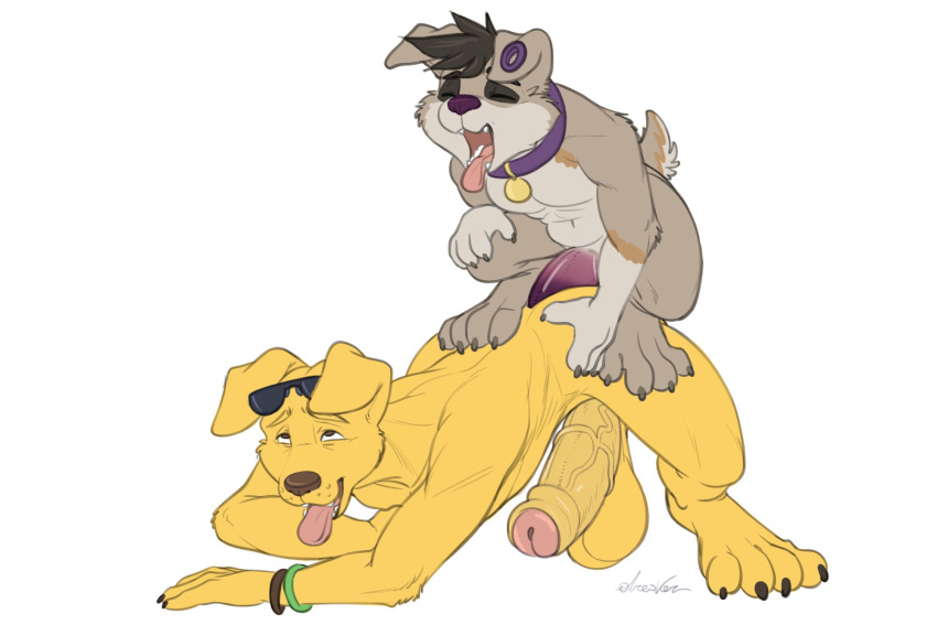 all_fours anal anal_sex anthro balls big_balls big_penis bird_dog bojack_horseman canid canine canis doggy_style domestic_dog dreiker duo ear_piercing english_text eyewear eyewear_on_head from_behind_position gay genitals glasses glasses_on_head herding_dog hi_res huge_balls huge_cock hunting_dog labrador looking_pleasured male male/male male_only mammal mr._peanutbutter netflix open_mouth pastoral_dog penetration penis piercing purple_nose purple_penis retriever sex size_difference small_dom_big_sub text tunny uncut welsh_corgi yaoi