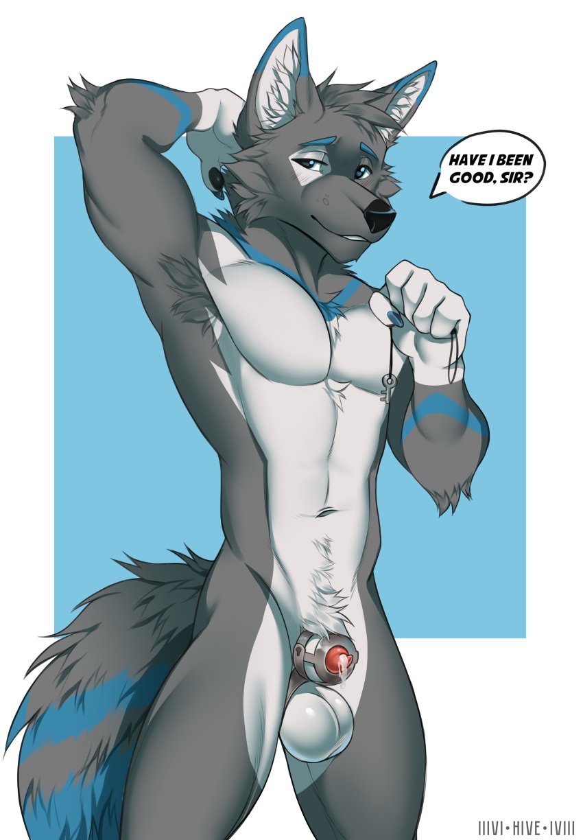 absurd_res anatomically_correct anatomically_correct_genitalia animal_genitalia animal_penis anthro armpit_hair armpit_tuft balls begging blue_body blue_fur bodily_fluids body_hair canid canine canine_genitalia canine_penis canis cetoo chastity_cage chastity_cage_only chastity_device chastity_device_only chastity_key dialogue dipstick_ears domestic_dog dripping ear_markings embarrassed english_text forced forced_chastity fur fur_markings genital_fluids genitals grey_body grey_fur hi_res hive43 husky male mammal markings multicolored_ears nordic_sled_dog nude penis precum precum_drip sheath sheath_cage simple_background solo speech_bubble spitz striped_body striped_fur striped_markings stripes submissive submissive_male text wearing_chastity_cage wearing_chastity_device white_body white_fur