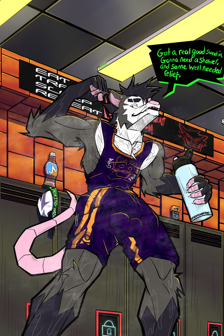 2:3 abs absurd_res american_opossum anthro armpit_hair asdfgh01 bodily_fluids body_hair bottomwear bulge clothing detailed_bulge fur genital_fluids hi_res locker_room male mammal marsupial muscular muscular_male musk precum shirt shorts solo sweat tail tank_top topwear water