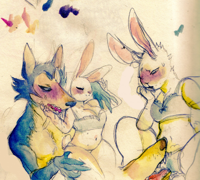 anthro anthro_on_anthro beastars blush bodily_fluids bra breasts cameltoe canid canine canis cleavage clothed clothing domestic_rabbit drooling duo female haru_(beastars) interspecies lagomorph legoshi_(beastars) leporid male mammal muura open_mouth oryctolagus painting_(artwork) panties predator/prey rabbit rough_sketch saliva straight traditional_media_(artwork) underwear watercolor_(artwork) wet wet_clothing wet_panties wet_underwear wolf