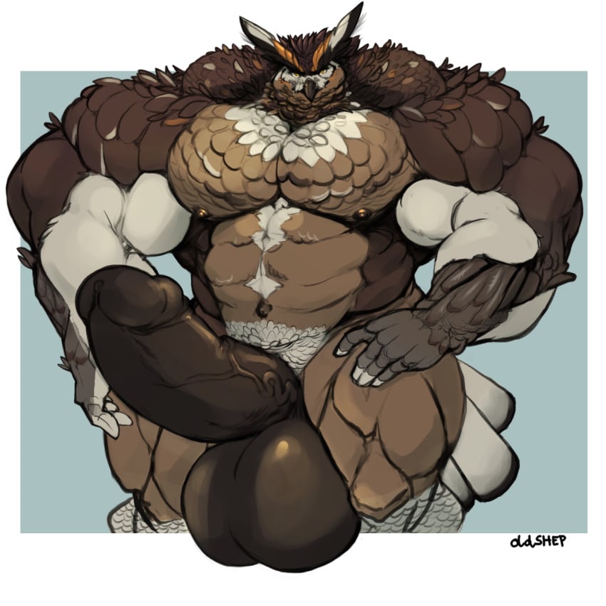 anthro avian balls big_balls bird brown_feathers erect feathers huge_balls humanoid_penis hyper hyper_balls hyper_muscles hyper_penis looking_at_viewer male male_only muscular muscular_male nude oldshep owl pecs penis solo thick_penis vein