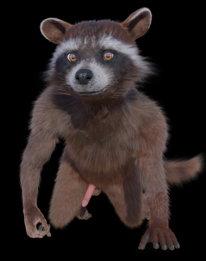 3d anthro crouching disney genitals guardians_of_the_galaxy hi_res male male_only mammal marvel nude penis procyonid raccoon rocket_raccoon rockyrcoon solo solo_male