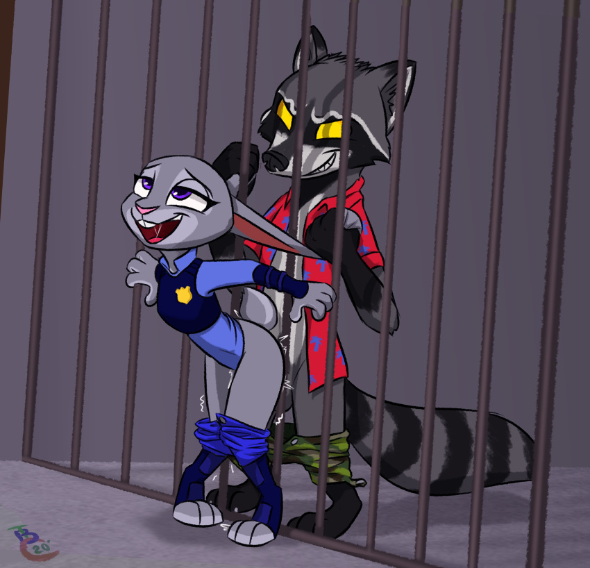 anthro avegetablefruit clothed_sex clothing coercion disney doc_mcrascal duo ear_pull female from_behind_position hi_res judy_hopps lagomorph leporid male mammal procyonid rabbit raccoon sex straight zootopia