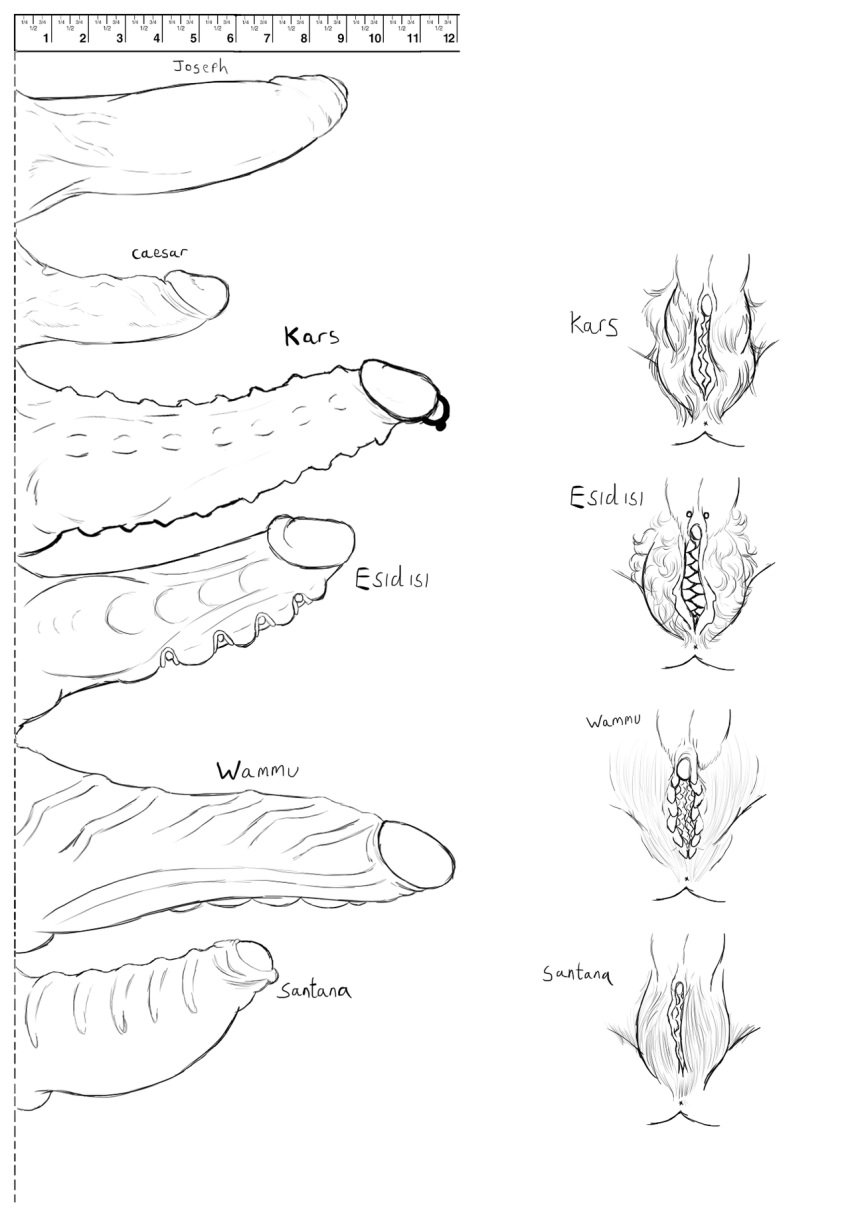 6boys battle_tendency caesar_zeppeli chart cloaca comparison esidisi foreskin jojo's_bizarre_adventure joseph_joestar kars male_only penis pubic_hair santana trashprincedio uncircumcised uncut wamuu