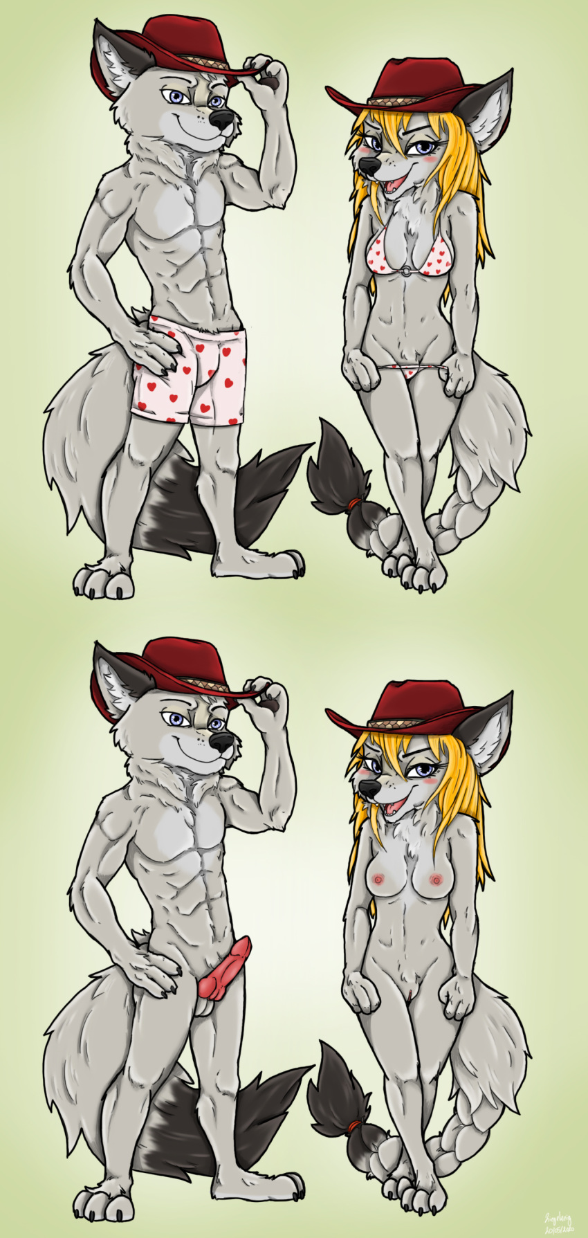 3_toes 4_fingers abraham_(yamato95) absurd_res anthro bad_guy_cafe bikini blonde_hair blue_eyes boxers_(clothing) breasts canid canine canis clothing cowboy_hat duo erection female fingers fur genitals grey_body grey_fur hair hat headgear headwear hi_res male mammal penis pussy rule_63 swimwear toes underwear wolf ziegelzeig