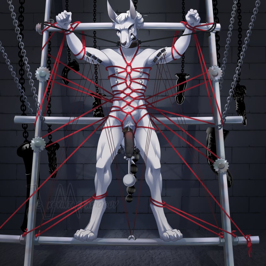 1:1 anthro anubian_jackal balls bodily_fluids bondage bondage bound canid canine canis chains clenched_teeth cock_and_ball_torture collar dildo eyeshadow fur genital_torture genitals hair hi_res humanoid_genitalia humanoid_penis jackal kevintheradioguy makeup male mammal nipple_fetish nipple_pinch nipple_play nipple_weights nipples nude penis pinch rope rope_bondage rope_harness sex_toy simple_background solo submissive submissive_male tears teeth weights white_body white_fur white_hair