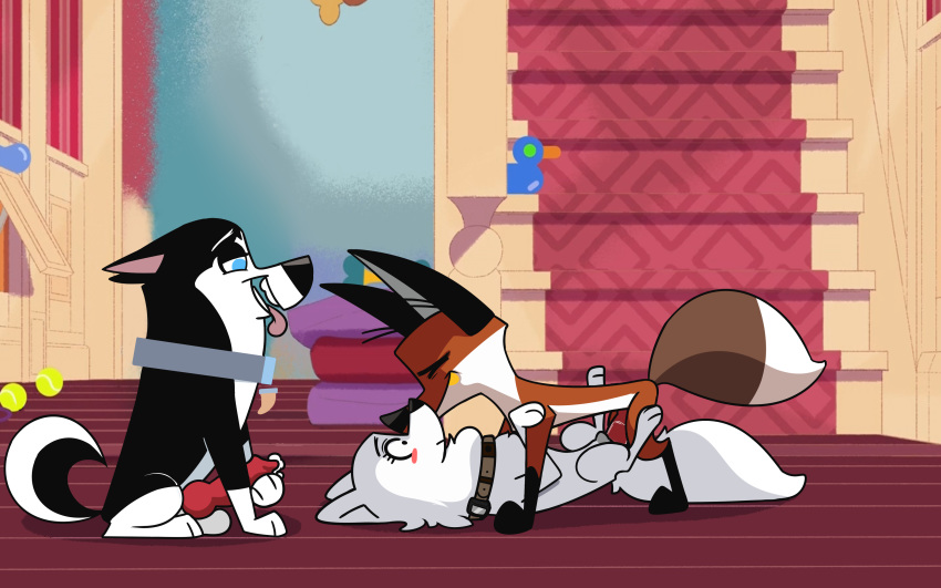 101_dalmatian_street 101_dalmatians 16:10 absurd_res animal_genitalia animal_penis blanca blanca_(nicky_illust) blush bodily_fluids canid canine canine_penis canis cum cum_leaking disney domestic_dog erection fan_character female feral fox fur genital_fluids genitals group group_sex hi_res husky hypergal knot lying male mammal masturbation missionary_position nordic_sled_dog on_back penetration penis penis_grab pussy samoyed sex spitz straight surprise tongue tongue_out white_body white_fur widescreen