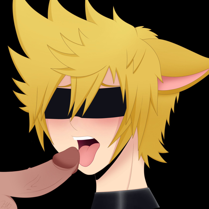 blindfold blowjob fellatio gay kingdom_hearts male/male male_only penis roxas roxasnuggets13