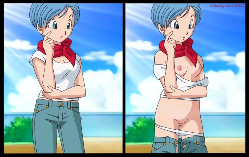 accurate_art_style bulma_briefs dragon_ball dragon_ball_super nobodyman9000 tagme watermark