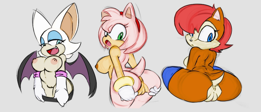 amy_rose angelbreed anthro anus bat big_breasts breasts chipmunk clothing female happy hedgehog looking_back mammal nude open_mouth presenting pussy rodent rouge_the_bat sally_acorn sega smile sonic_(series) wings