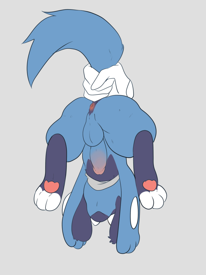 PokÉMon (Species) Rule 34 Image