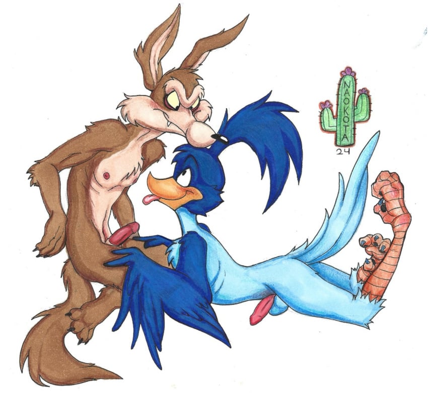 avian avian_feet bird canid canine canis chewtoything coyote duo feet genitals looney_tunes male male/male mammal penis road_runner_(looney_tunes) talons toes toony warner_brothers wile_e._coyote