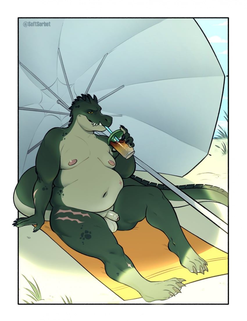 anthro beach beach_towel beach_umbrella belly crocodile crocodilian drinking drinking_straw genitals grass hi_res male moobs navel nipples nude outdoor_nudity outside overweight overweight_anthro overweight_male parasol penis plant reptile scalie scar shaded softsorbet solo tail teeth towel umbrella