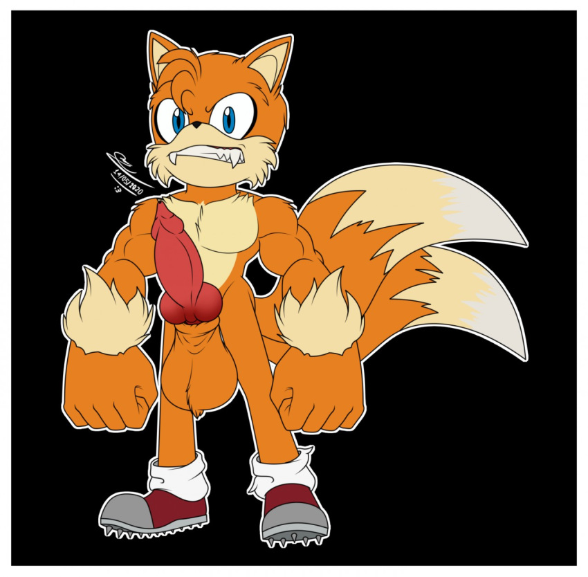 anthro big_penis border canid canine eulipotyphlan genitals hi_res huge_cock hyper hyper_genitalia hyper_penis knot looking_at_viewer male male_only mammal mobian_(species) mr._paffy penis sega solo sonic_(series) sonic_the_hedgehog_(series) tails were werecanid werecanine wereeulipotyphlan werefox werehog white_border